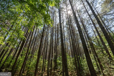 Photo of 2486 Hulmes Chapel Road, Elberton, GA 30635 (MLS # 10736139)