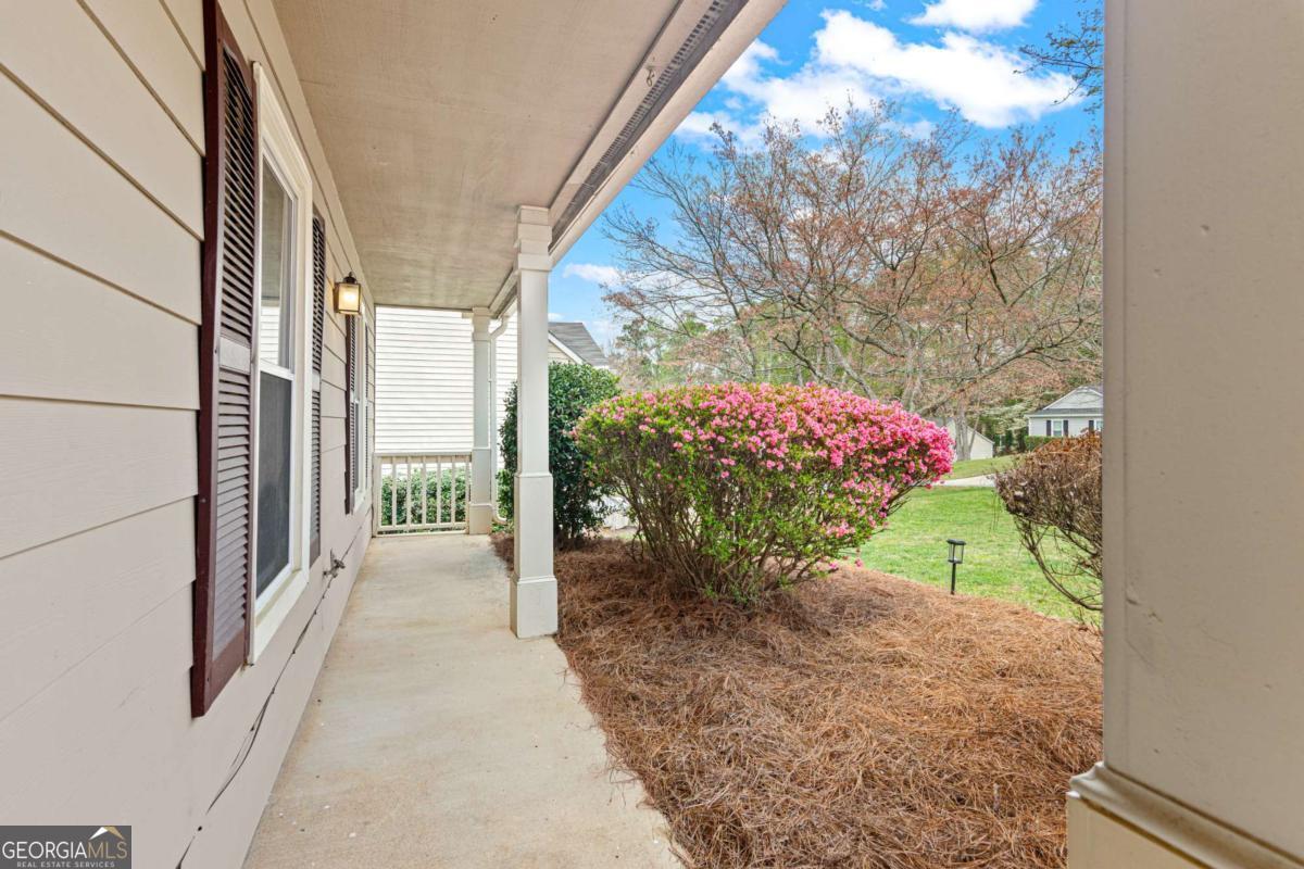 210 Magnolia Tree CT