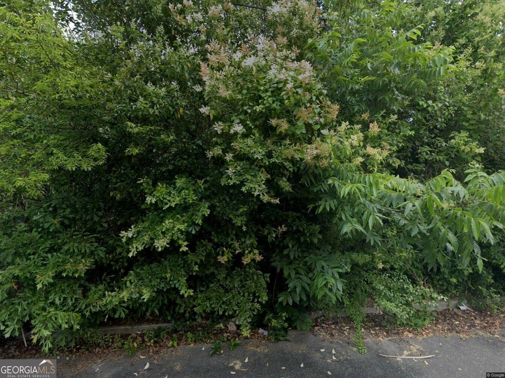 Photo of 2106 Mason Street, Macon, GA 31204 (MLS # 10693165)