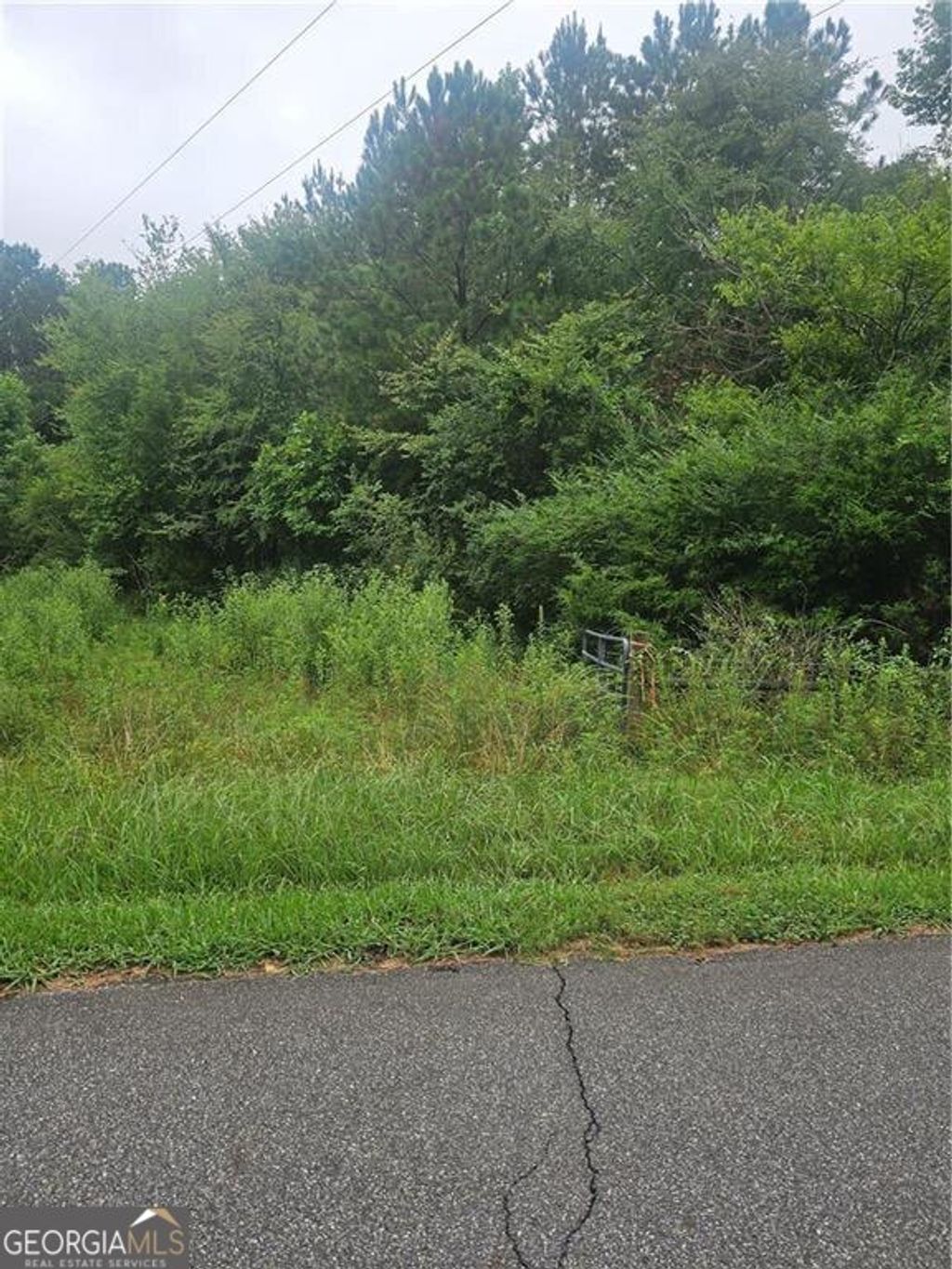 Photo of 0 Crowe Springs SPUR NW, Adairsville, GA 30103 (MLS # 10578892)