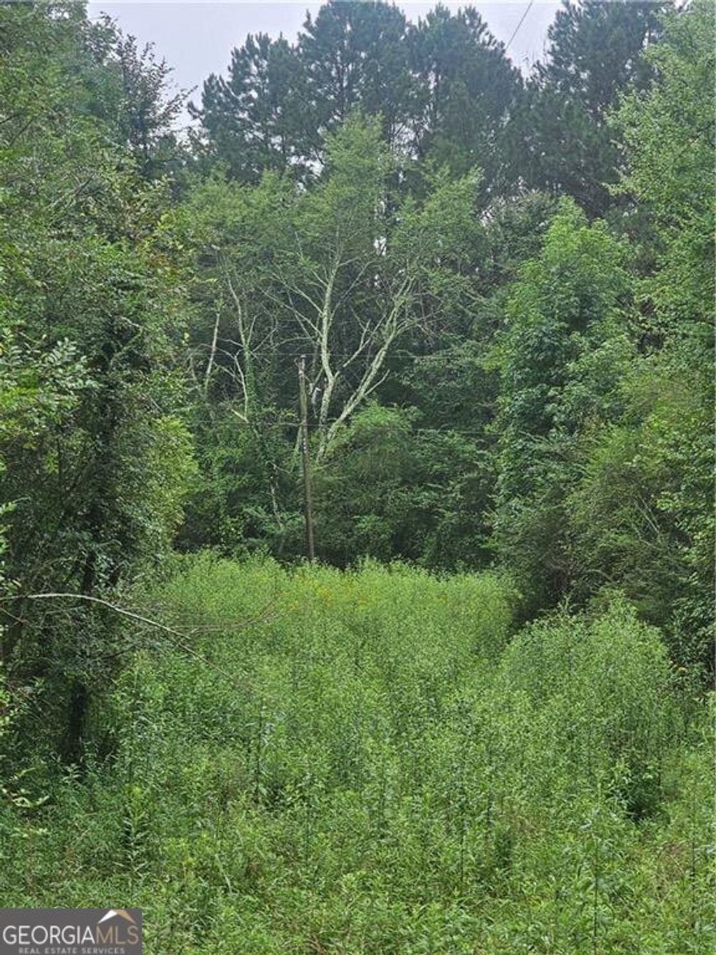 Photo of 0 Crowe Springs SPUR NW, Adairsville, GA 30103 (MLS # 10578892)