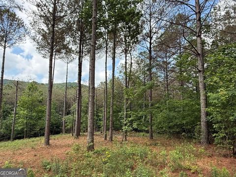 LOT 9 Eastview TRL Ellijay GA 30536