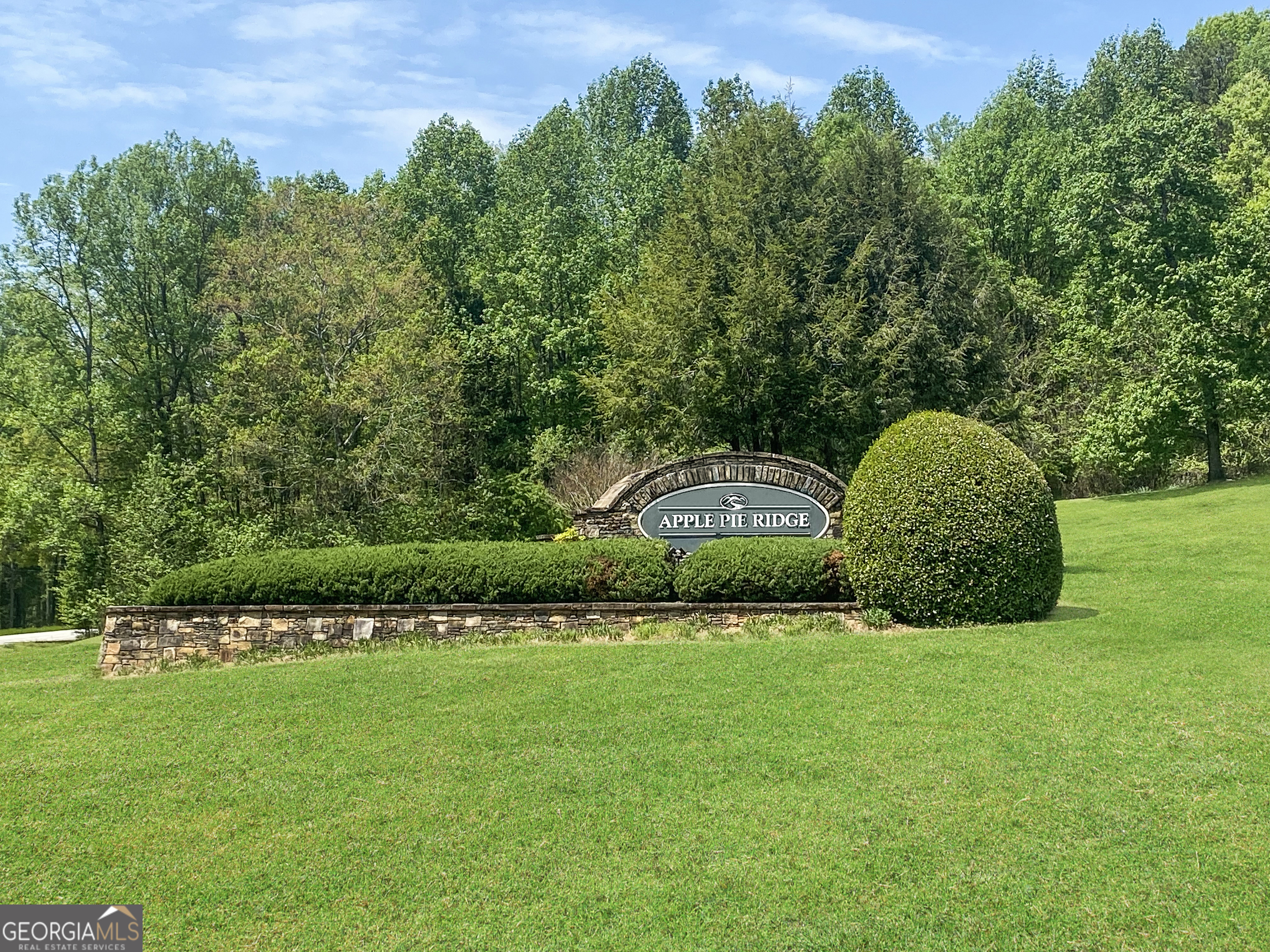 133 Lakeview WALK