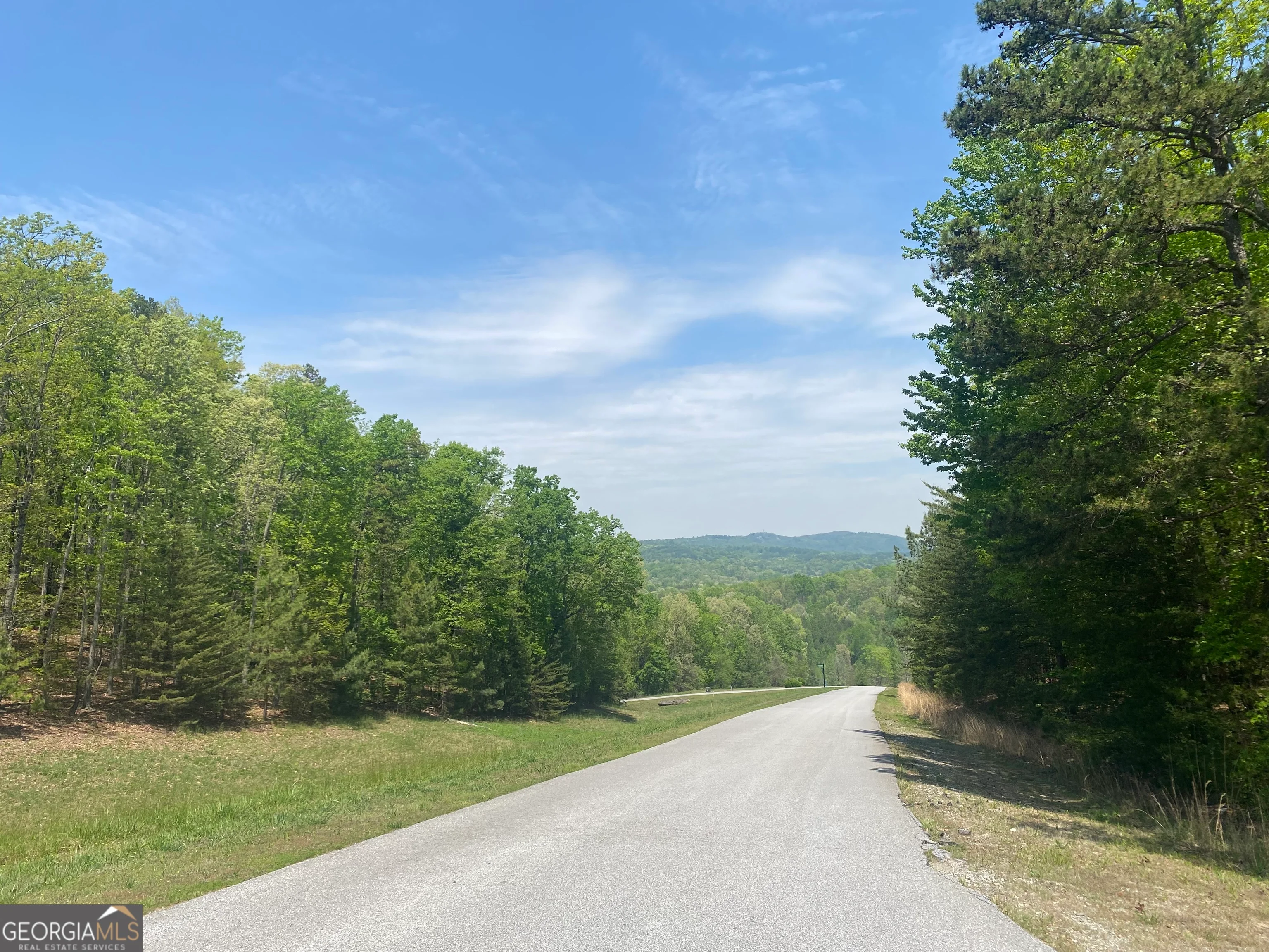 133 Lakeview Walk, Baldwin, GA, 30511