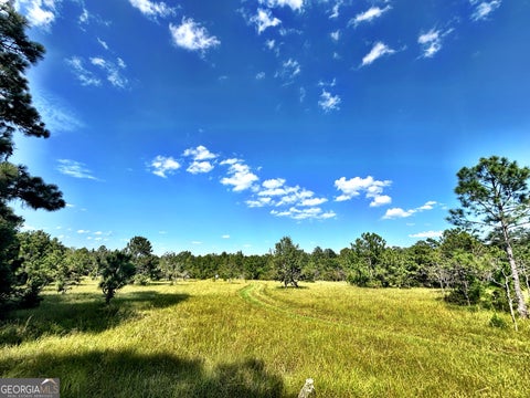 Photo of 1721 Hwy 49, Byron, GA 31008 (MLS # 10832797)