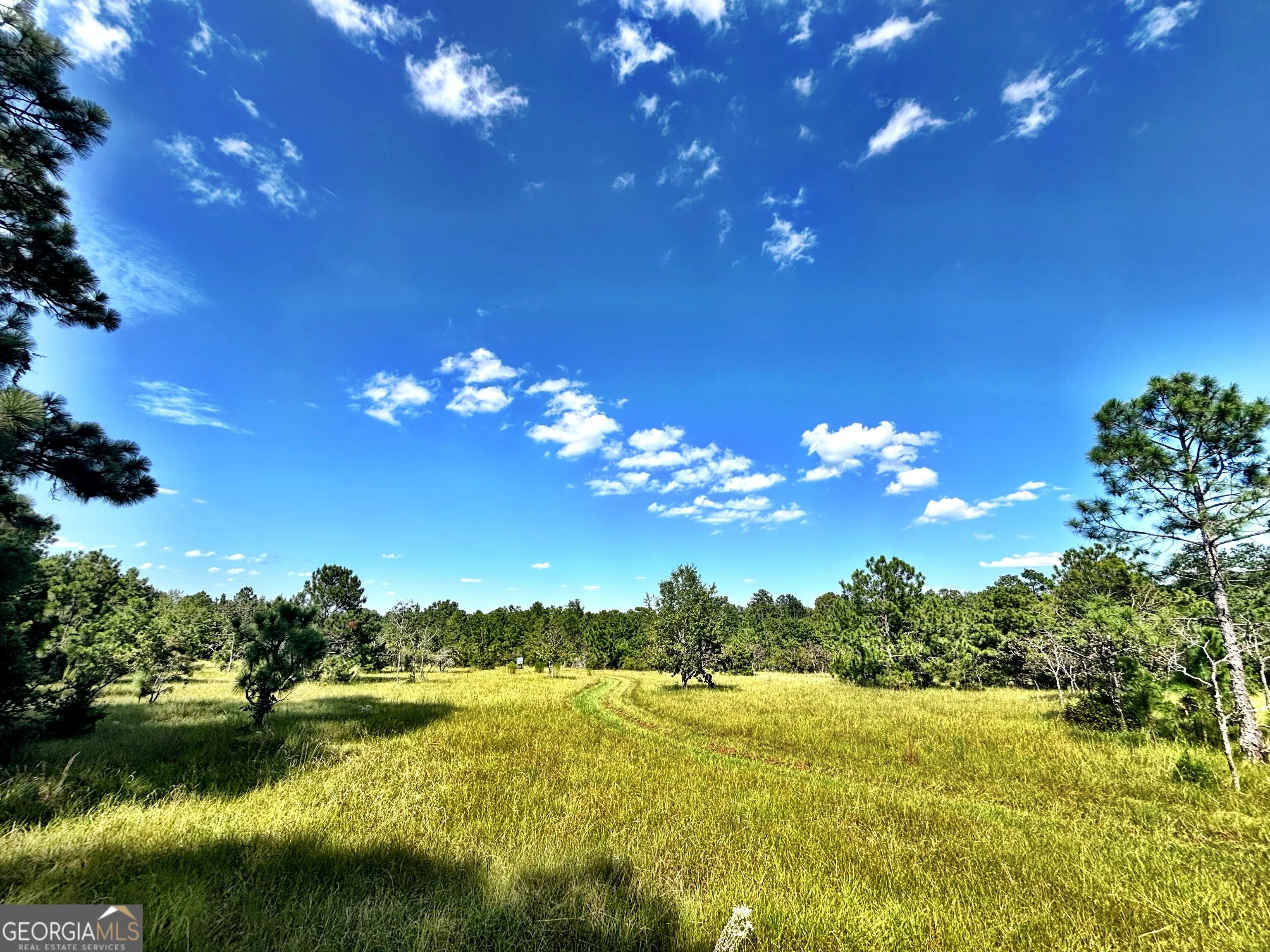 1721 Hwy 49, Byron, GA, 31008