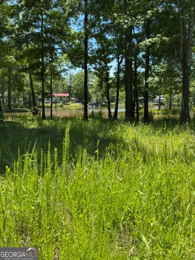 LOT 6 COUNTY ROAD 182 6