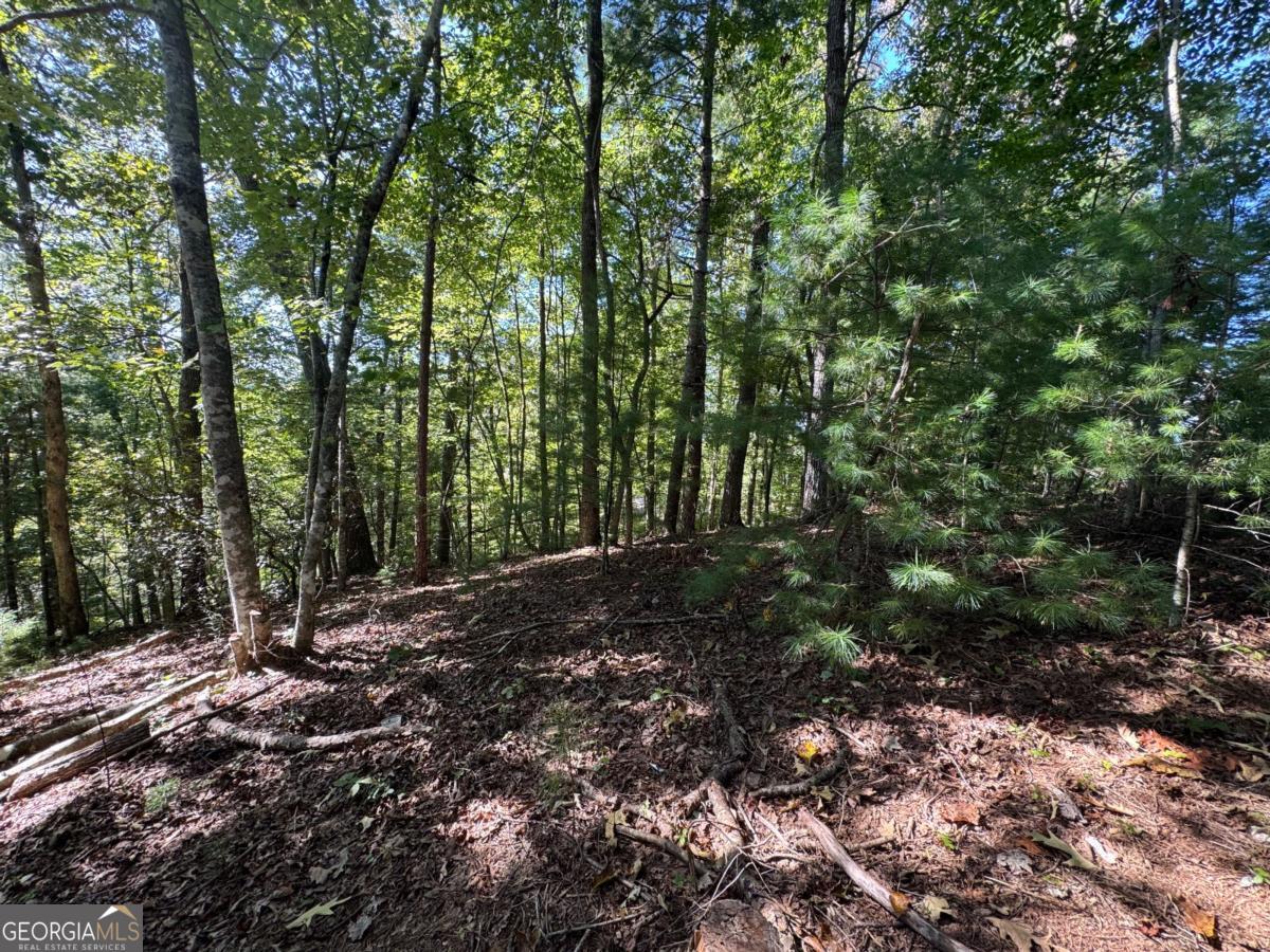 2.5 AC Mango LN 732+ 733