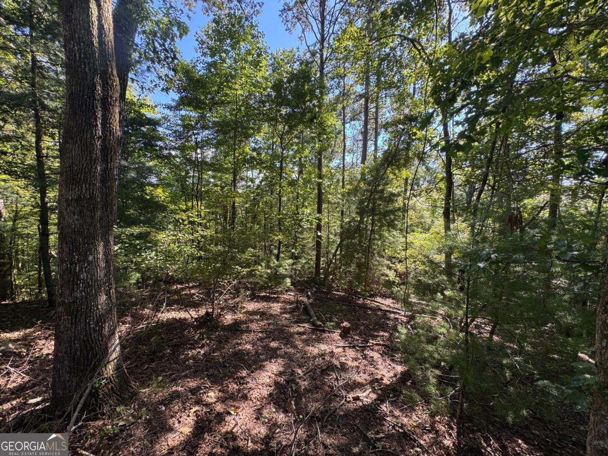 2.5 AC Mango LN 732+ 733