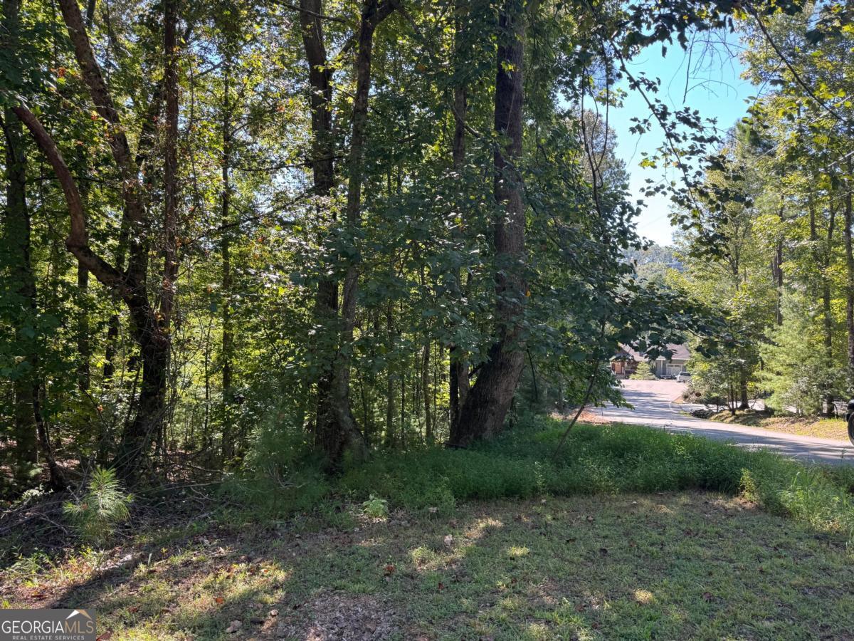 2.5 AC Mango LN 732+ 733