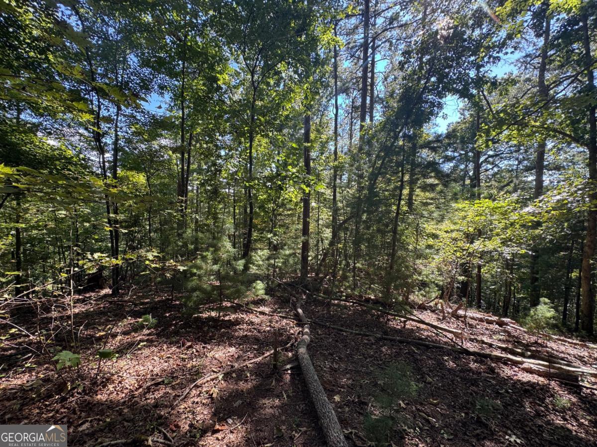 2.5 AC Mango LN 732+ 733