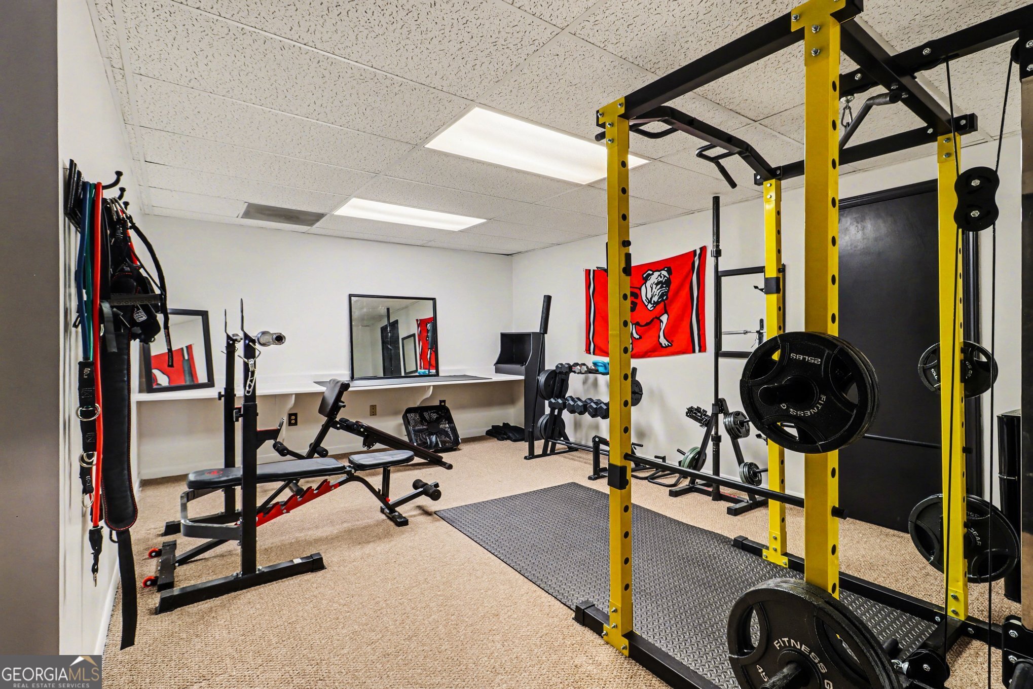 393 Westminister LN SW