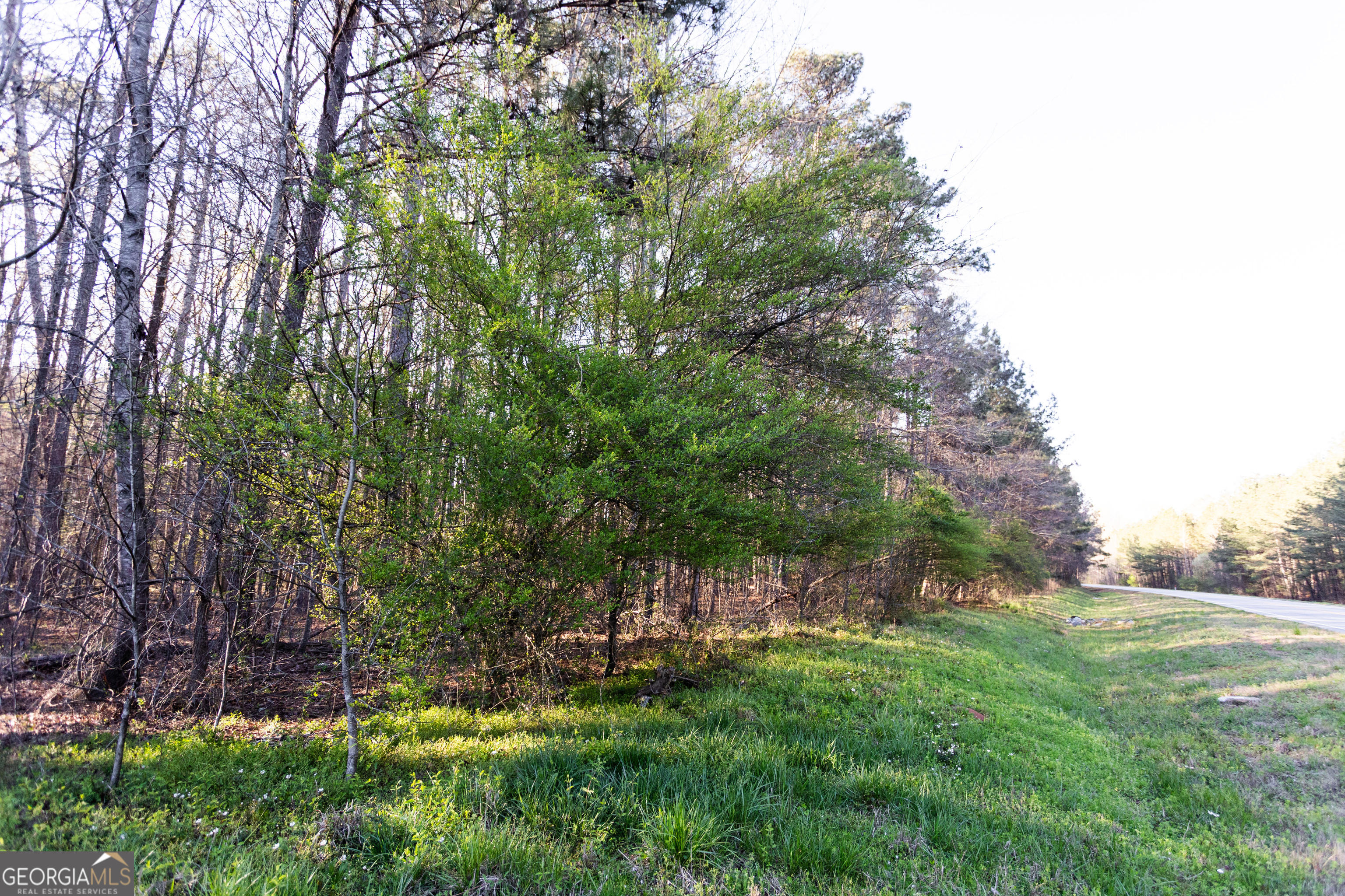 0 Social Circle Parkway