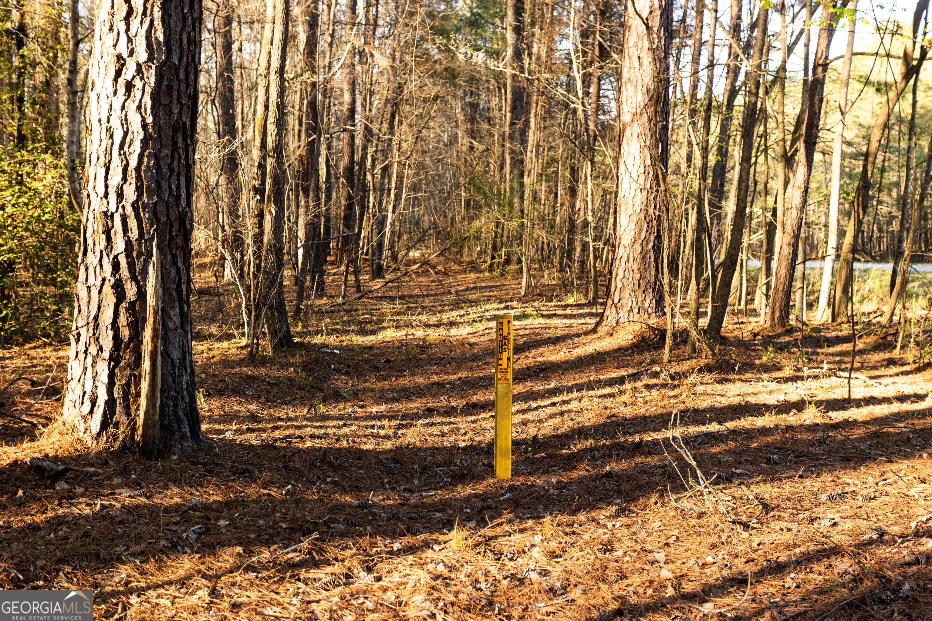 0 Social Circle Parkway