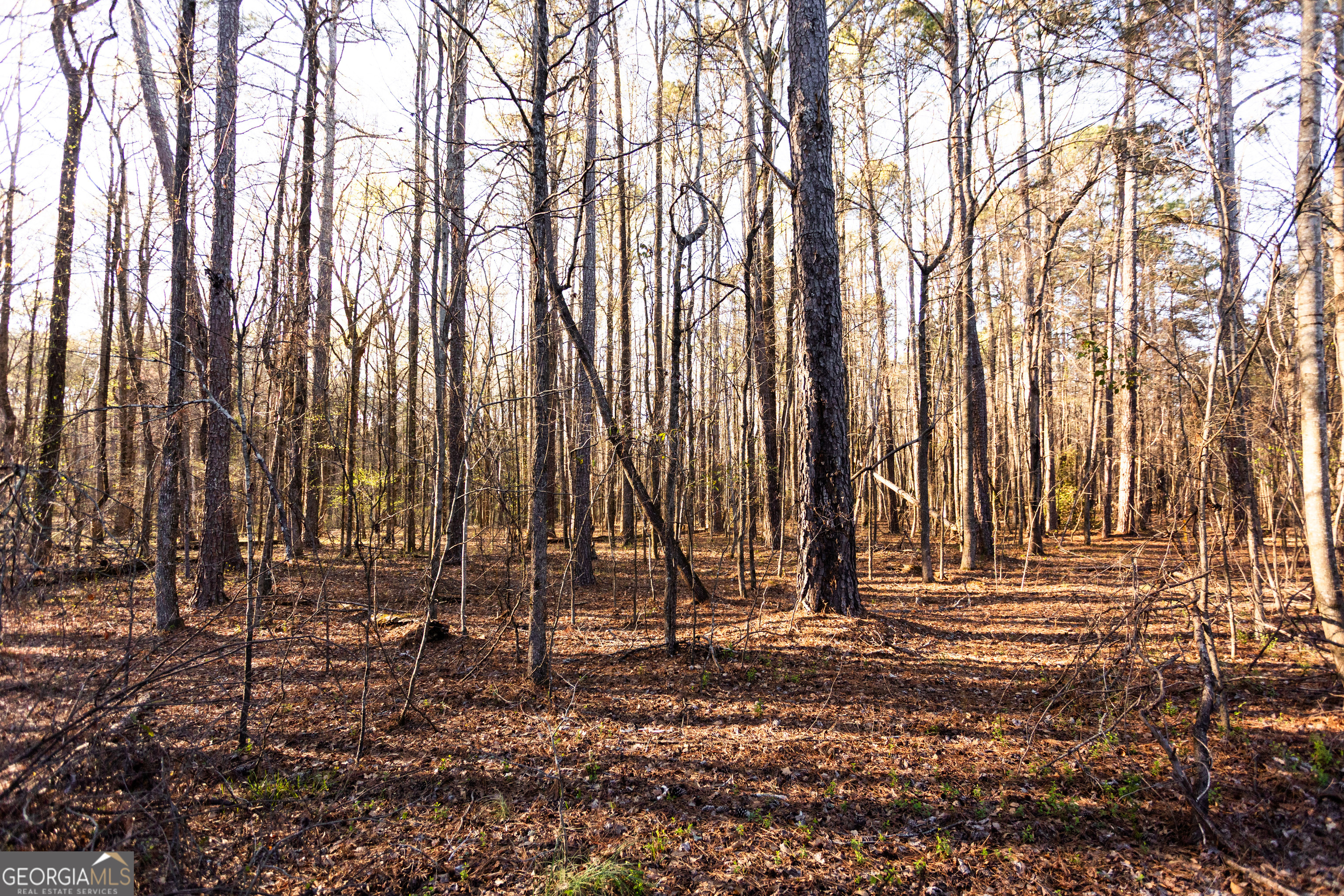 0 Social Circle Parkway