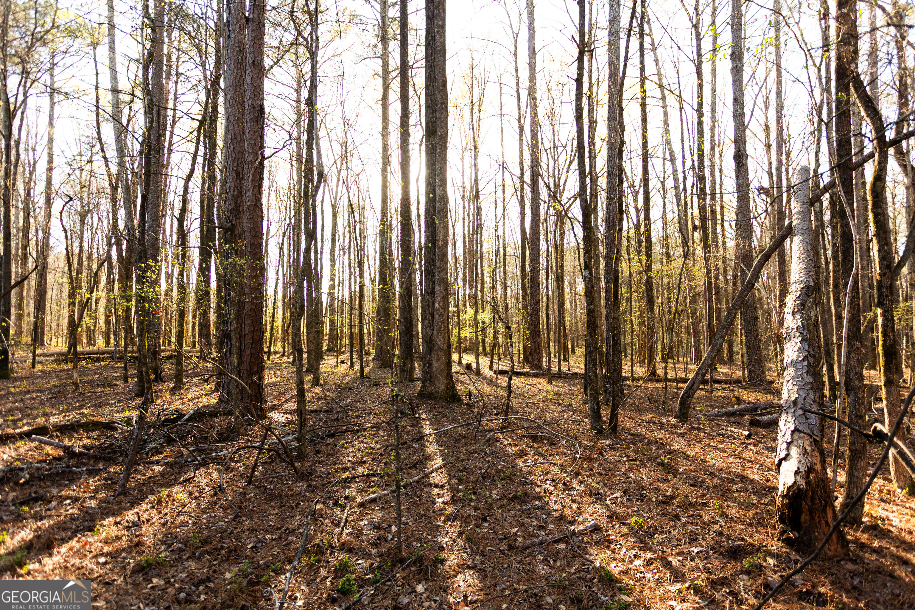 0 Social Circle Parkway