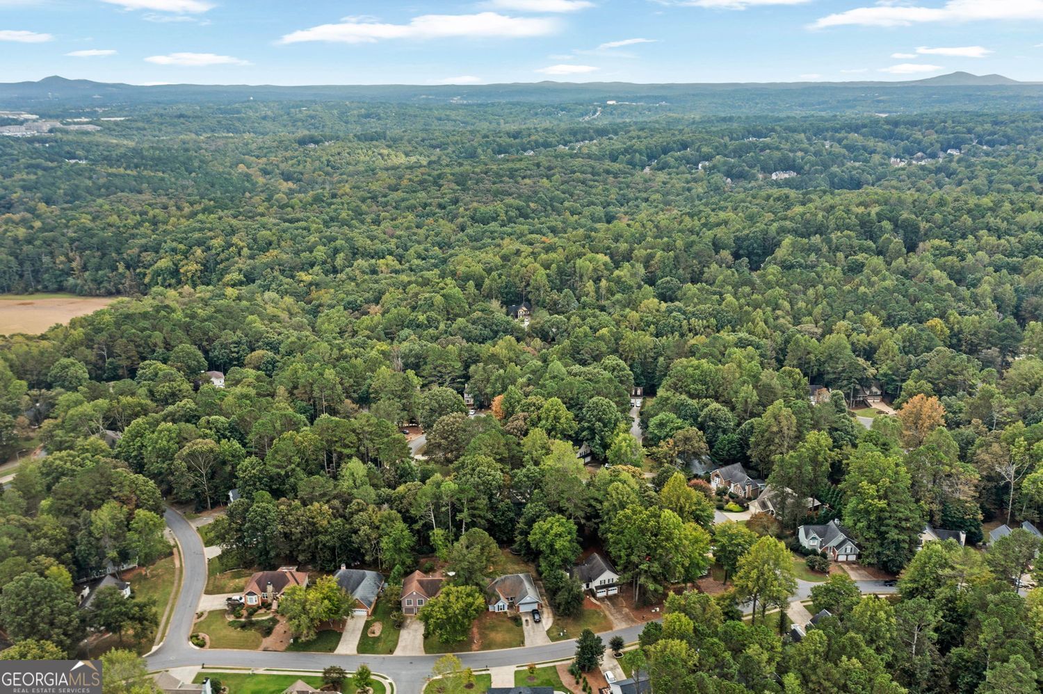 EAGLE WATCH - Residential