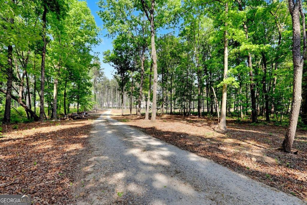 Photo of 1110 Locklin Road, Monroe, GA 30655 (MLS # 10739499)
