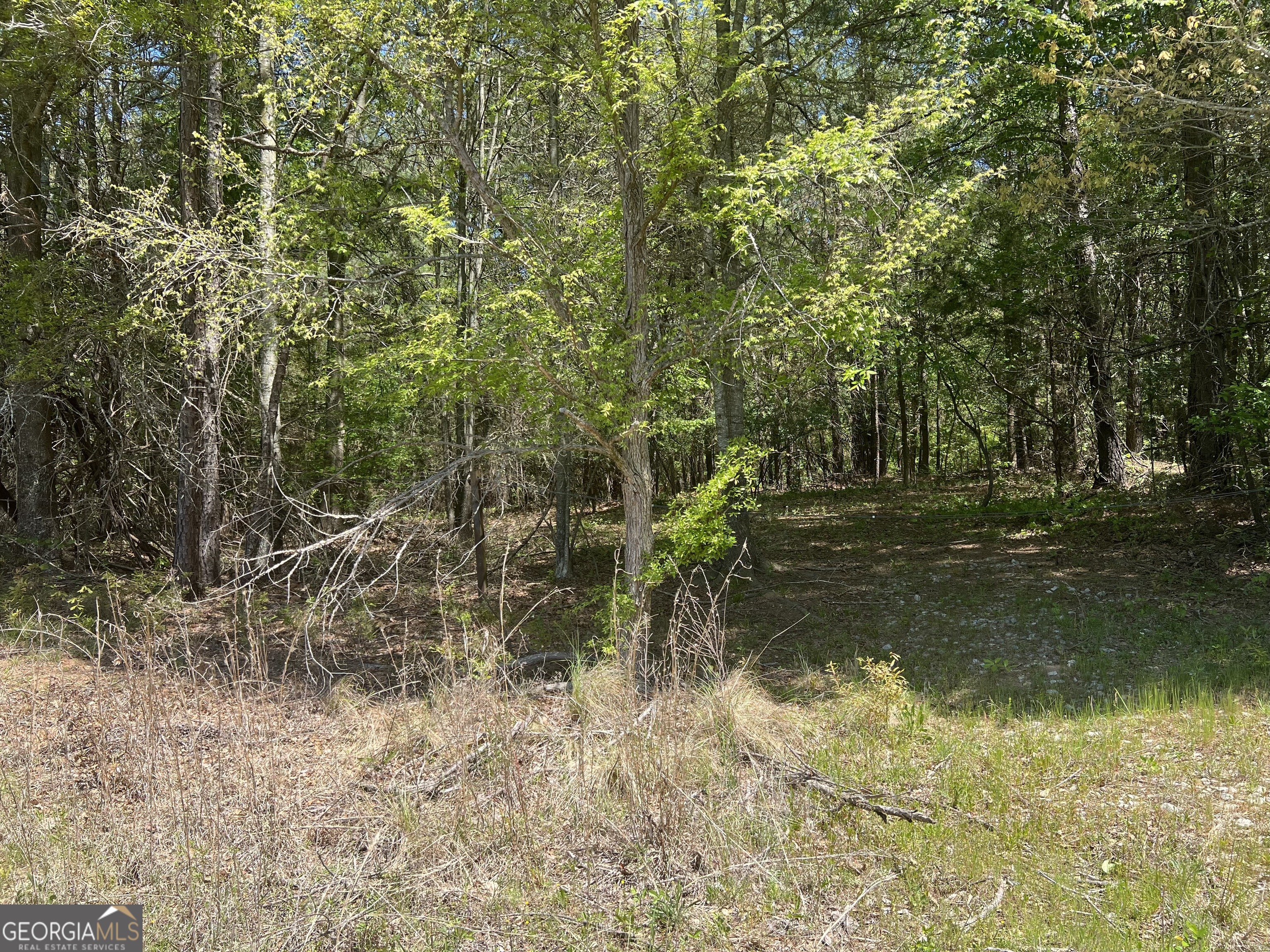 0 Plainview RD