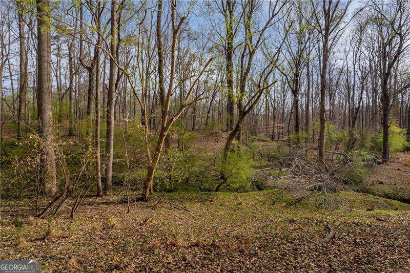 342 Jesse Martin TRL