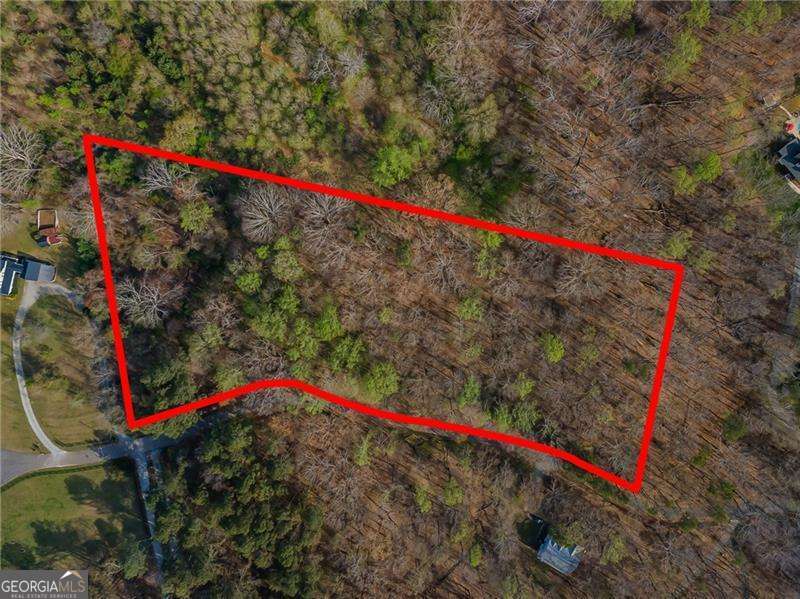 342 Jesse Martin TRL