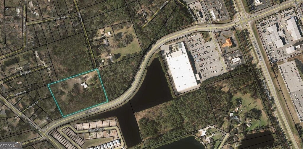 Photo of 266 Lynch Road, Brunswick, GA 31520 (MLS # 10880695)