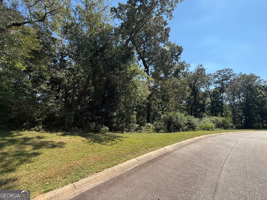 Photo of 0 Mountain Vista #LOT 6, Clarksville, GA 30523 (MLS # 10850310)