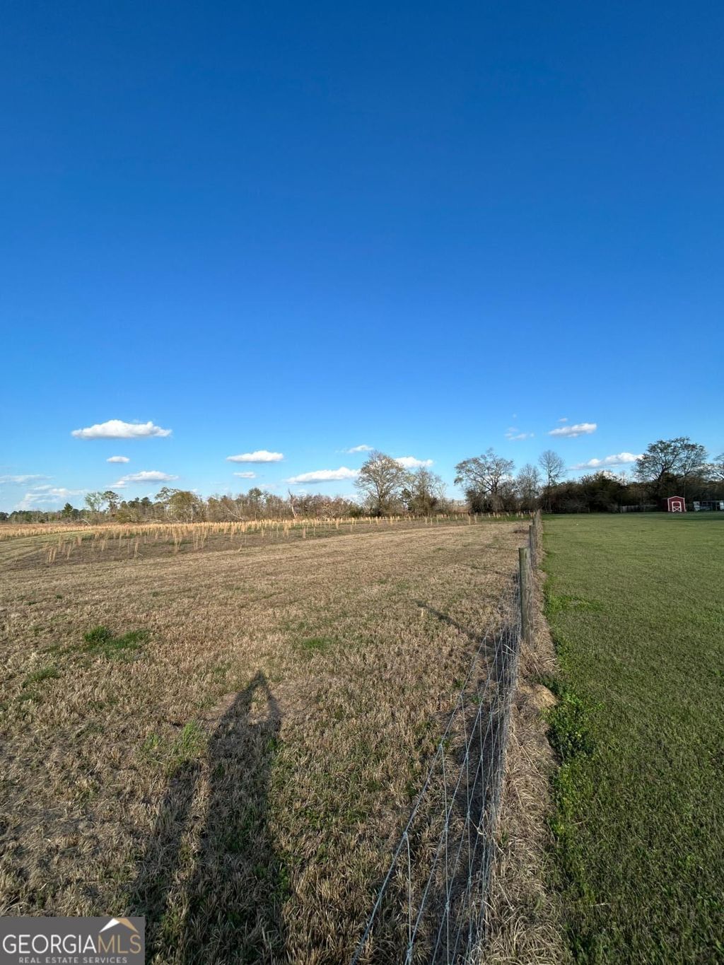 Photo of 0 Scotts Store Road, Millen, GA 30442 (MLS # 10710107)