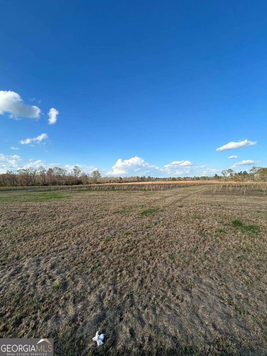 Photo of 0 Scotts Store Road, Millen, GA 30442 (MLS # 10710107)
