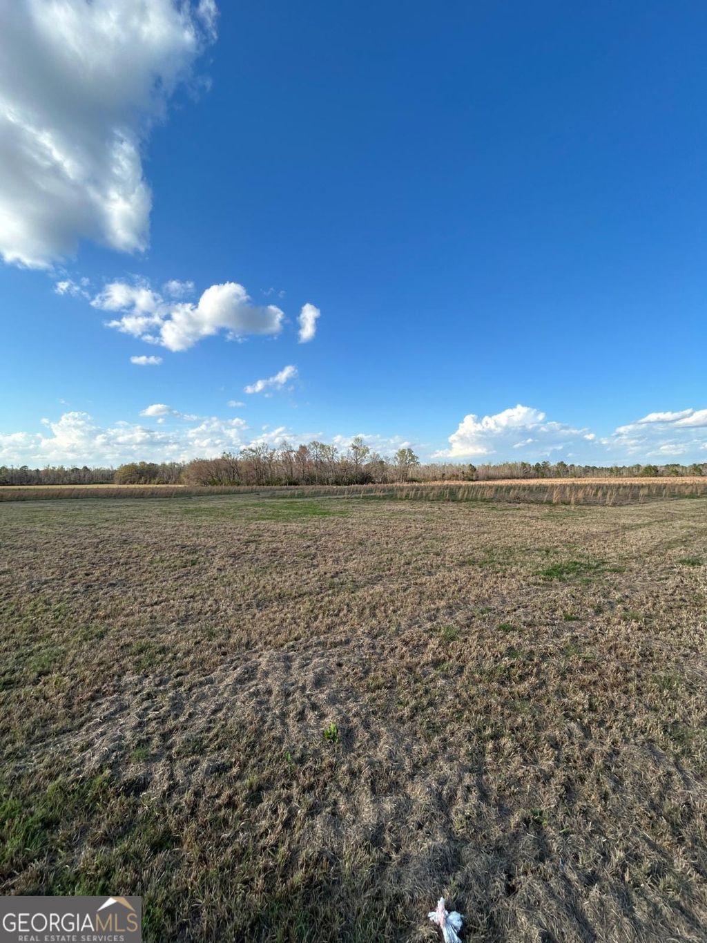 Photo of 0 Scotts Store Road, Millen, GA 30442 (MLS # 10710107)