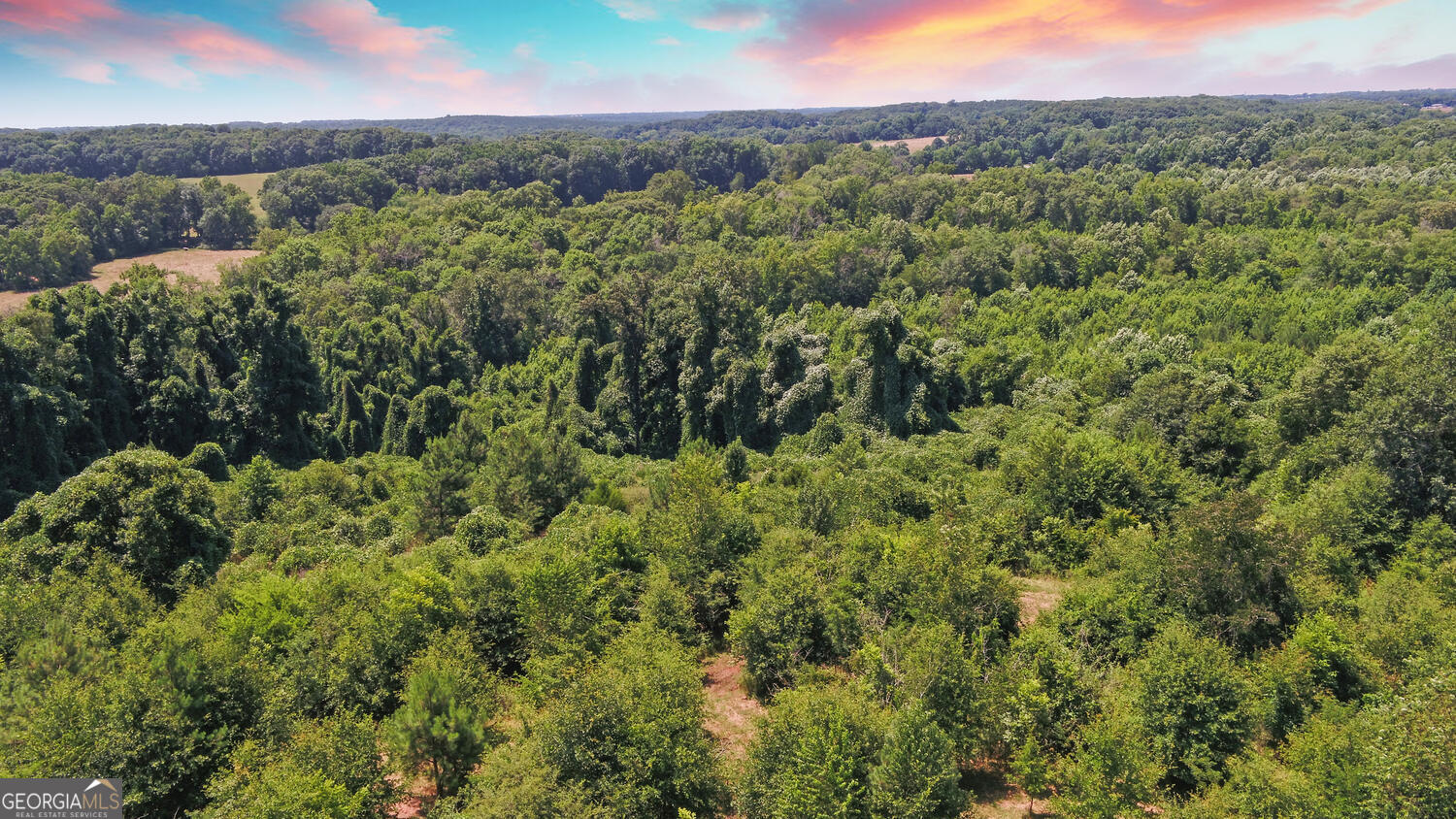 3439 TRACT 2 Providence Church RD