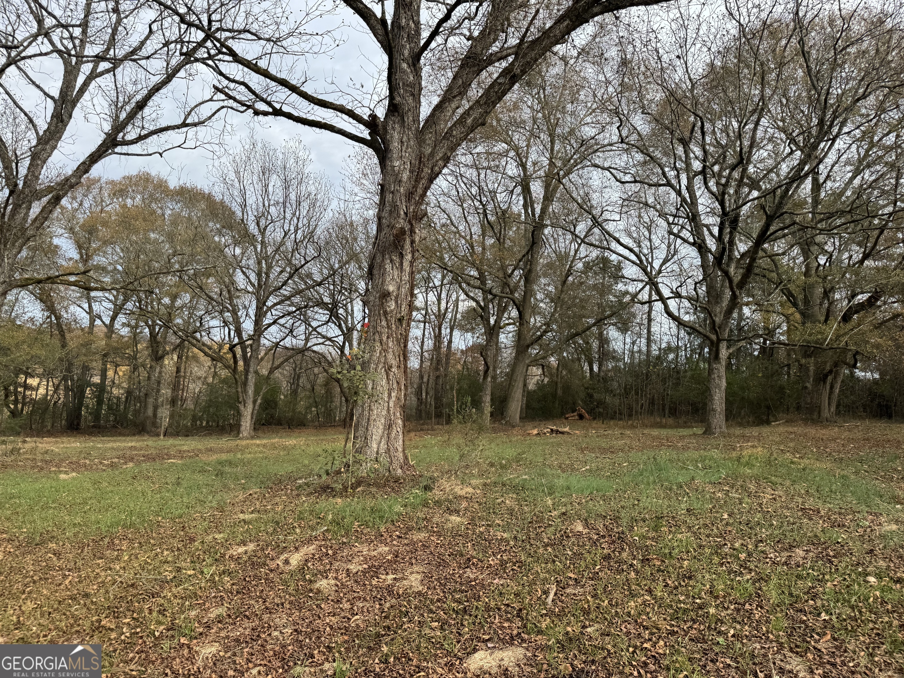 3439 TRACT 2 Providence Church RD