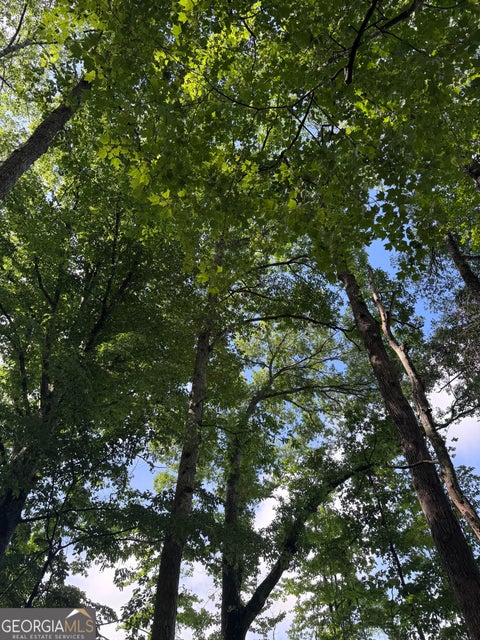 Photo of 0 Po Biddy Road, Thomaston, GA 30286 (MLS # 10780890)