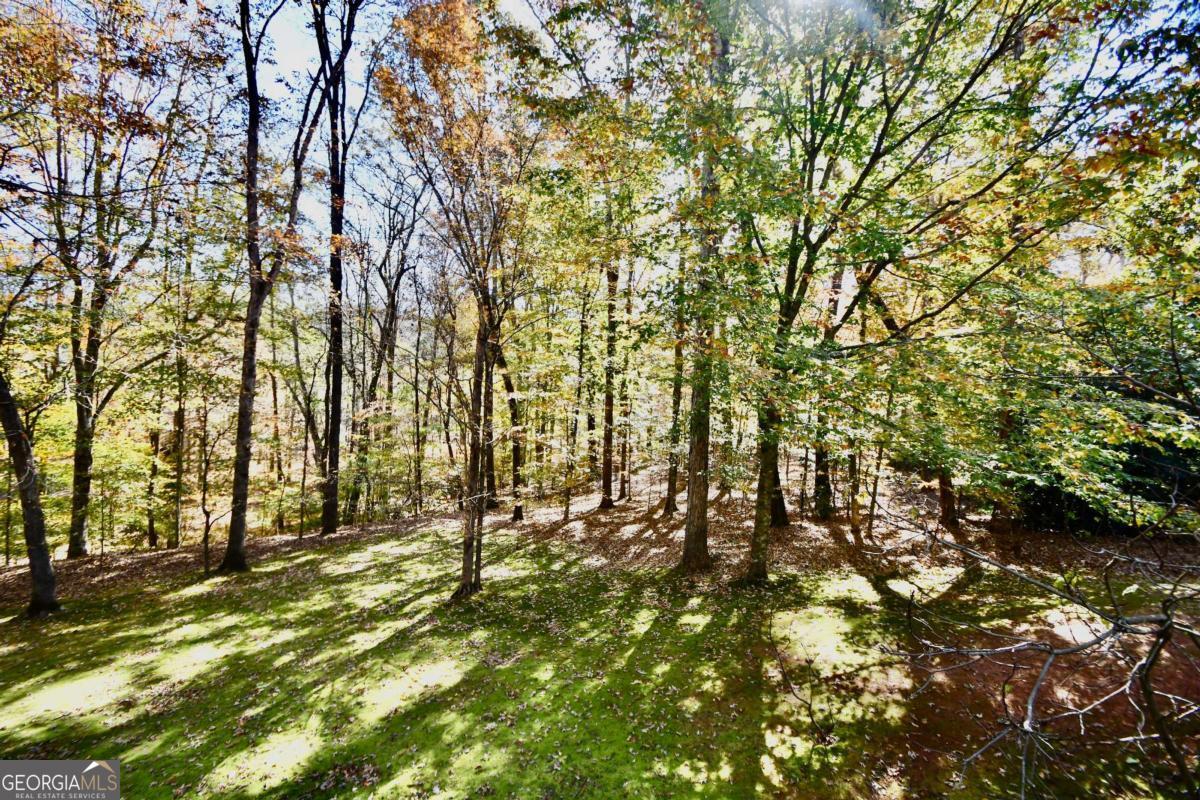 Hodgson's Place - Residential