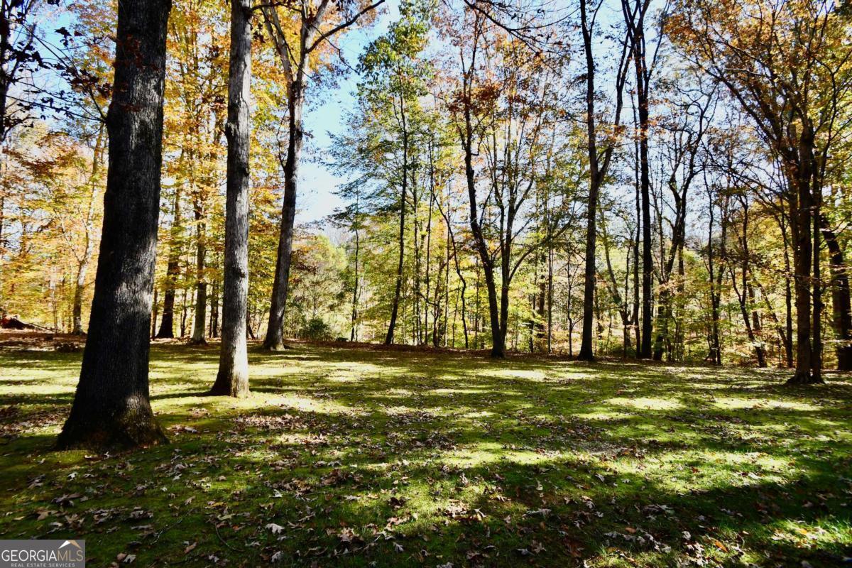 Hodgson's Place - Residential