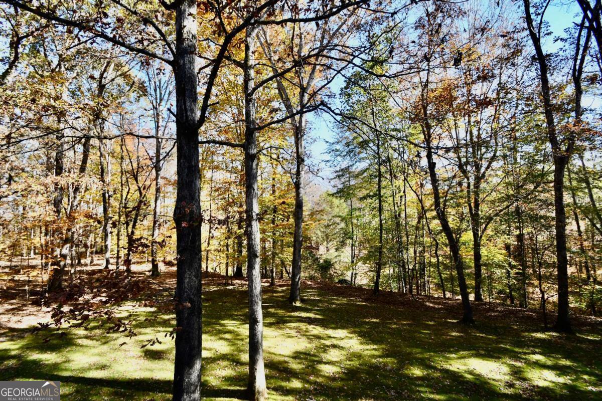 Hodgson's Place - Residential