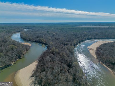 Photo of 0 Oconee River, Bells Ferry Highway, Lumber City, GA 31549 (MLS # 10669541)