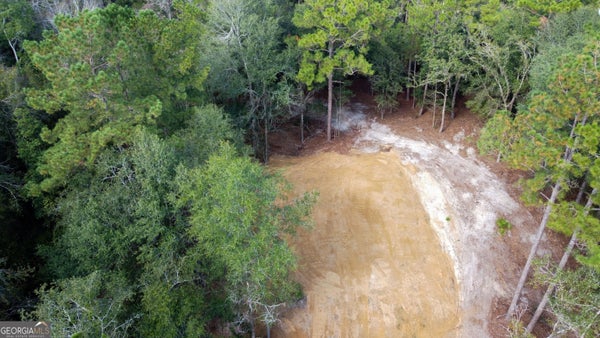 0 CANOOCHEE DRIVE, CLAXTON, GA 30417 - Image 66e413b1efcab7ac0d9f0affbeee9eef/3329670526
