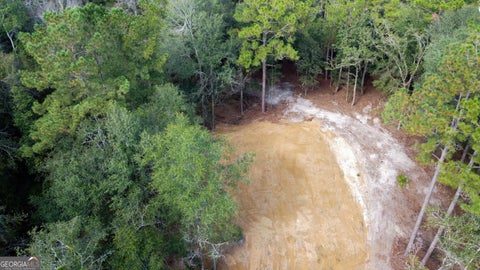 Photo of 0 Canoochee Drive, Claxton, GA 30417 (MLS # 10869496)