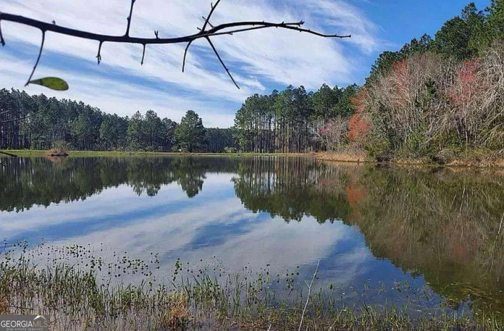221 W 1st Street, Arabi, GA, 31712