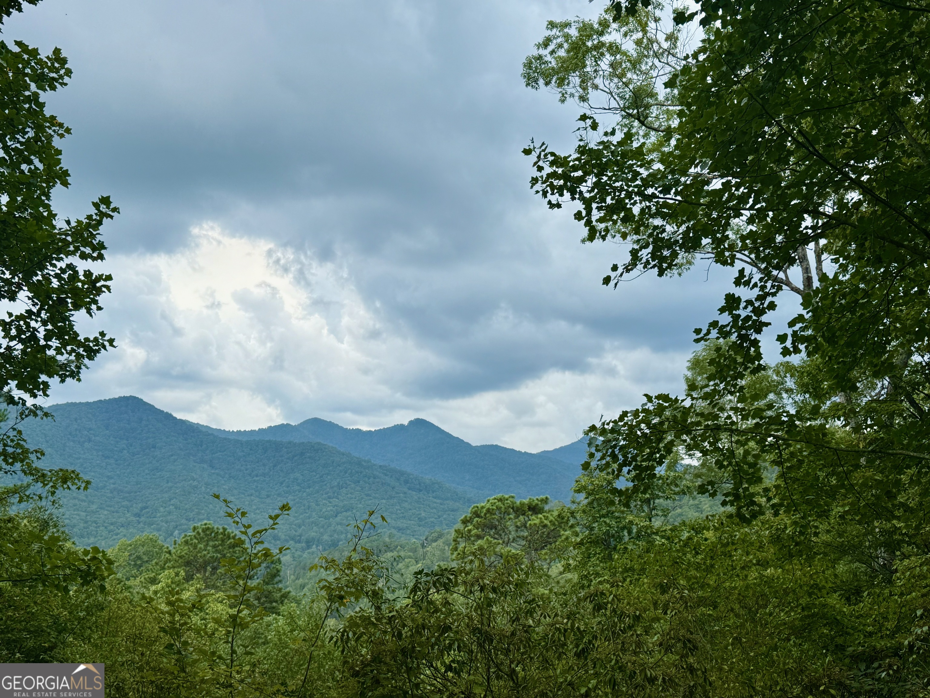 Beautiful Valley and mountain views from this 3.26 acre home lot in Wynngate. Only minutes via paved road to shopping and dining in Dillard, GA and a short drive to Clayton, GA, Franklin, NC and Highlands, NC. Enjoy all the mountains have to offer with this perfect location for your dream home. This covenant protected community features paved roads, and an area of gorgeous homes with an assurance of quality being maintained.
