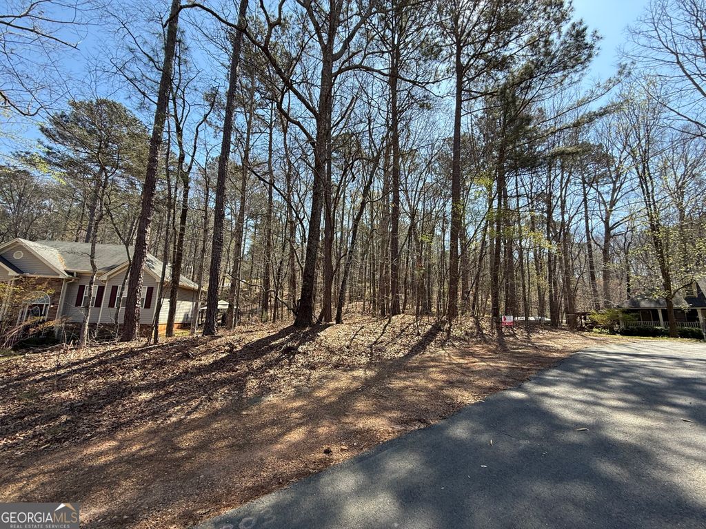 Photo of 38 Killdeer Lane, Monticello, GA 31064 (MLS # 10716100)