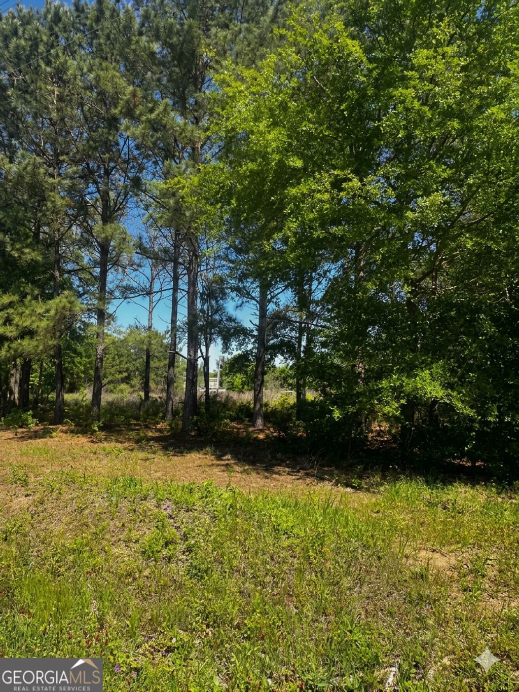 Photo of 146 Arlington Drive, Americus, GA 31709 (MLS # 10727297)