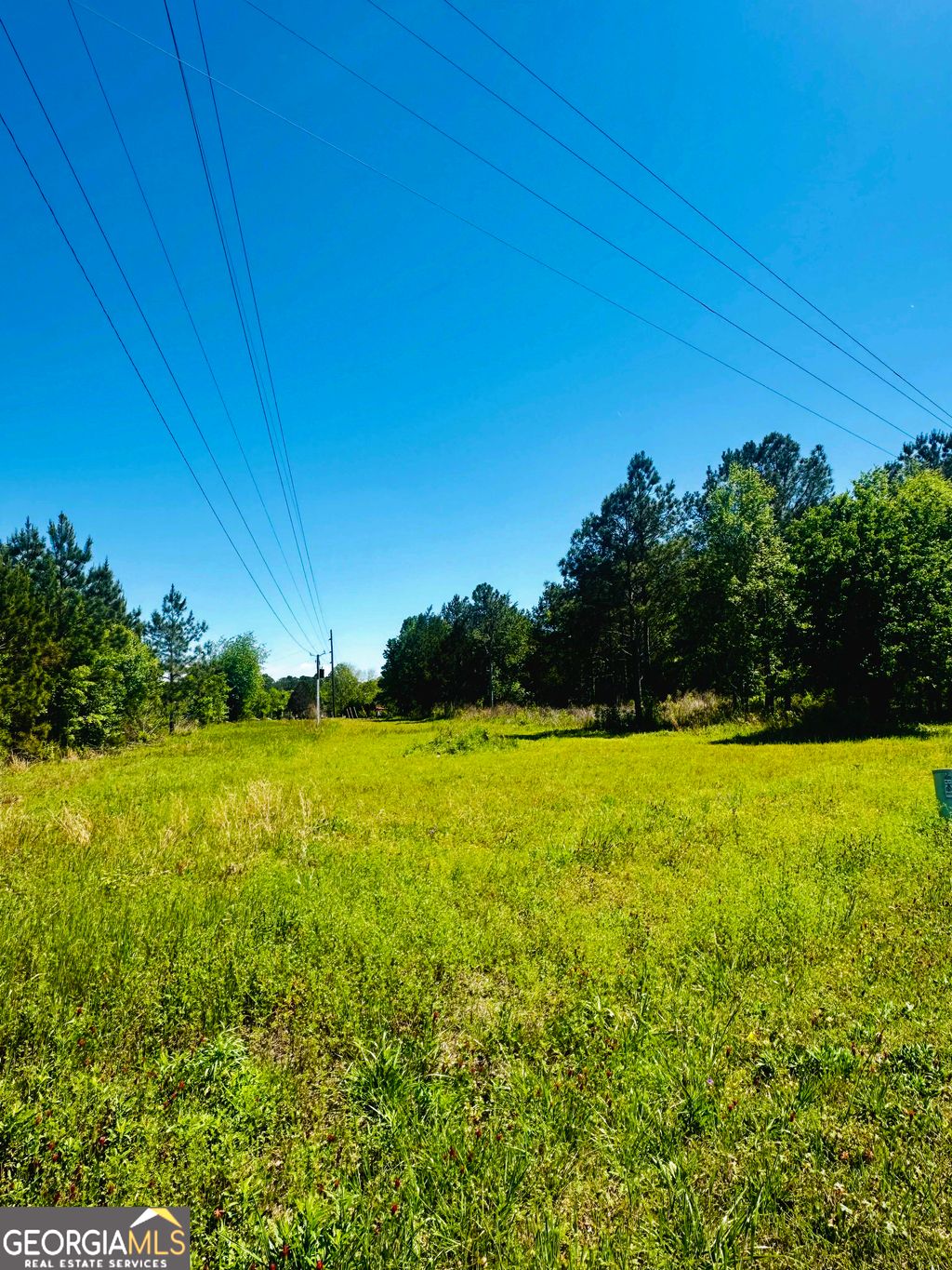 Photo of 146 Arlington Drive, Americus, GA 31709 (MLS # 10727297)