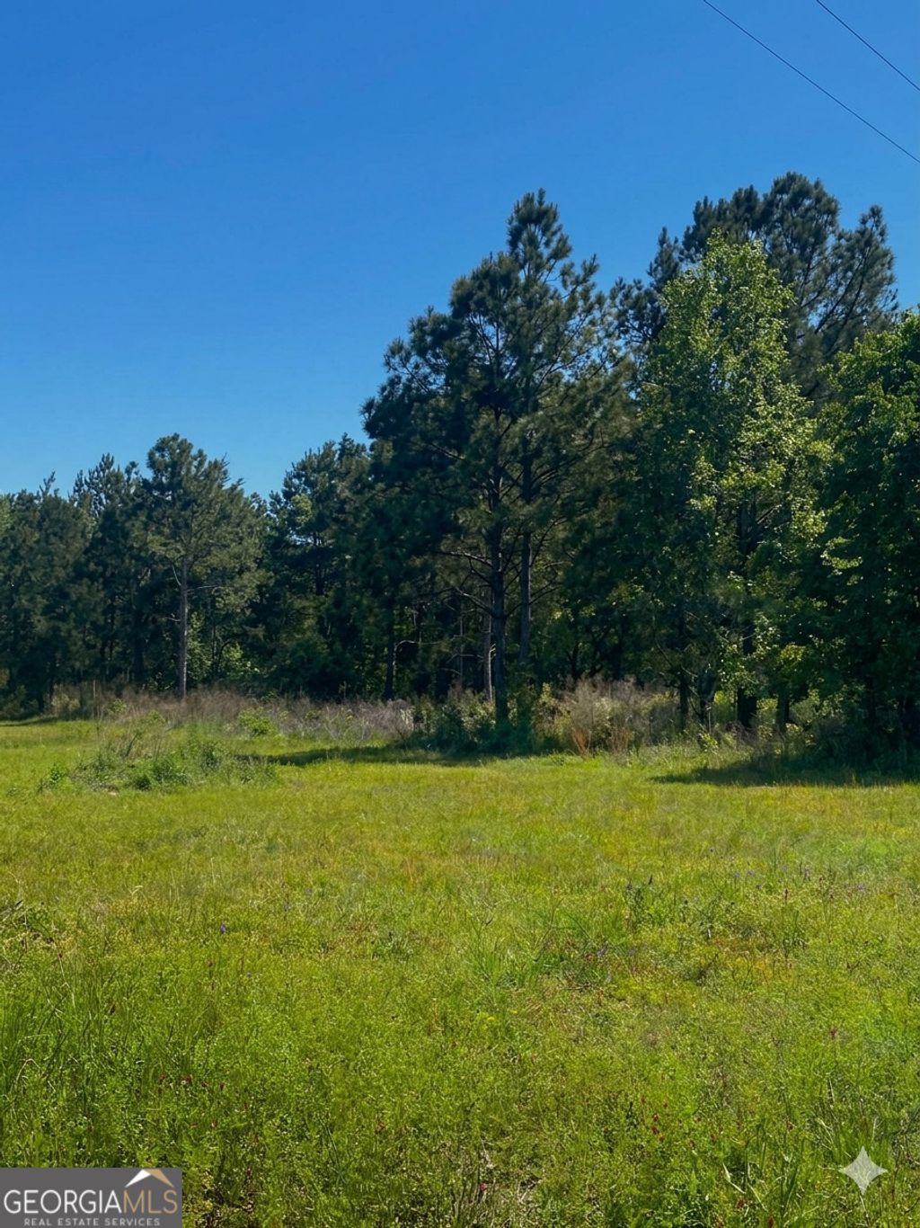 Photo of 146 Arlington Drive, Americus, GA 31709 (MLS # 10727297)