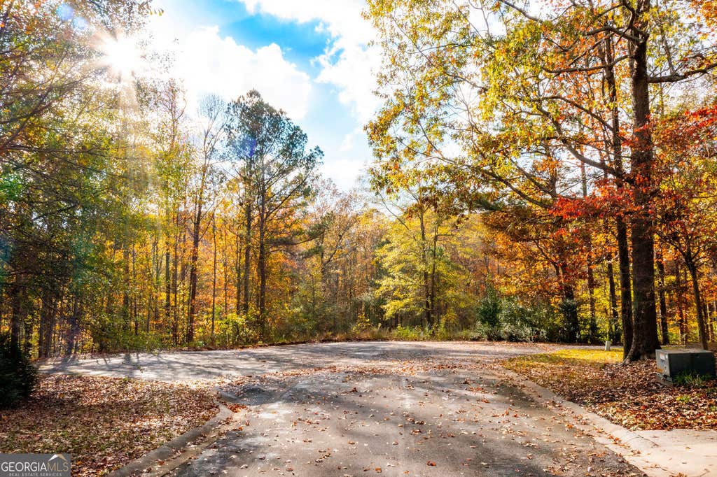 Photo of 299 River Place Drive NW, Calhoun, GA 30701 (MLS # 10825456)