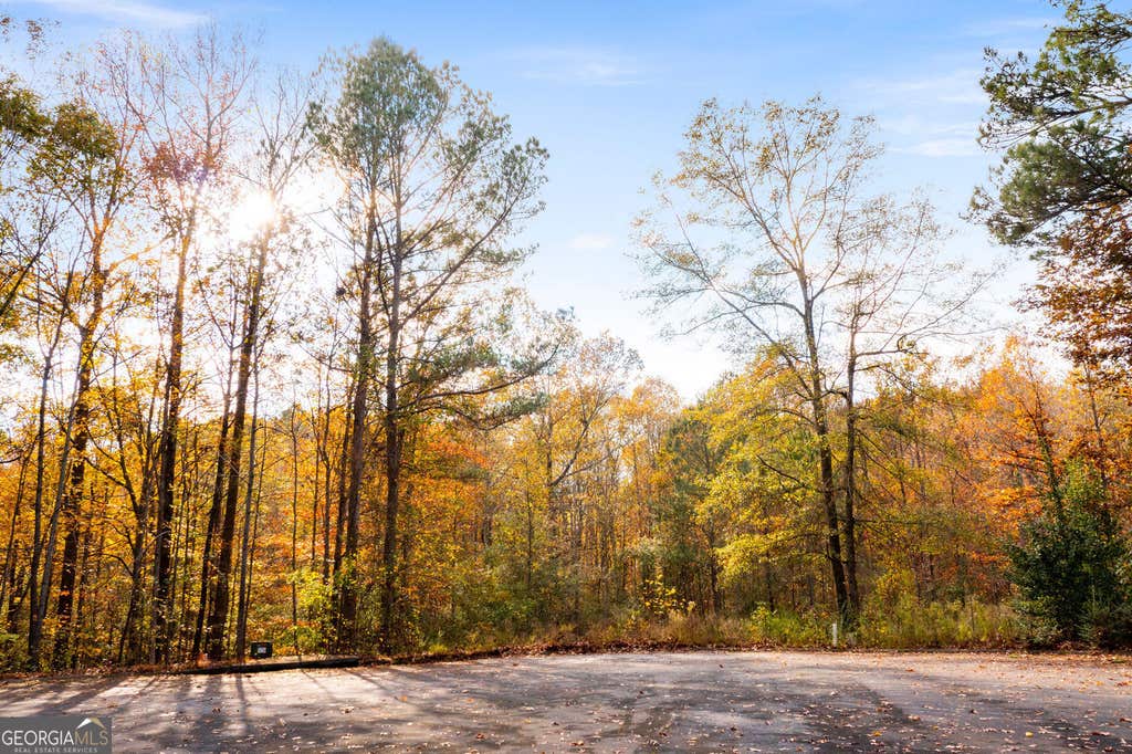 Photo of 299 River Place Drive NW, Calhoun, GA 30701 (MLS # 10825456)