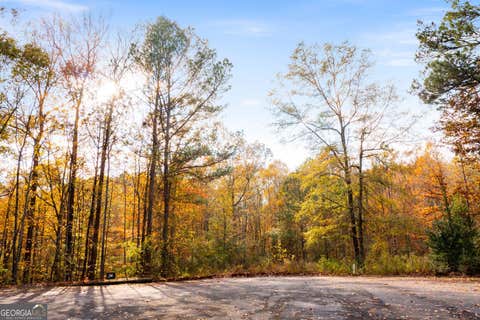 Photo of 299 River Place Drive NW, Calhoun, GA 30701 (MLS # 10825456)