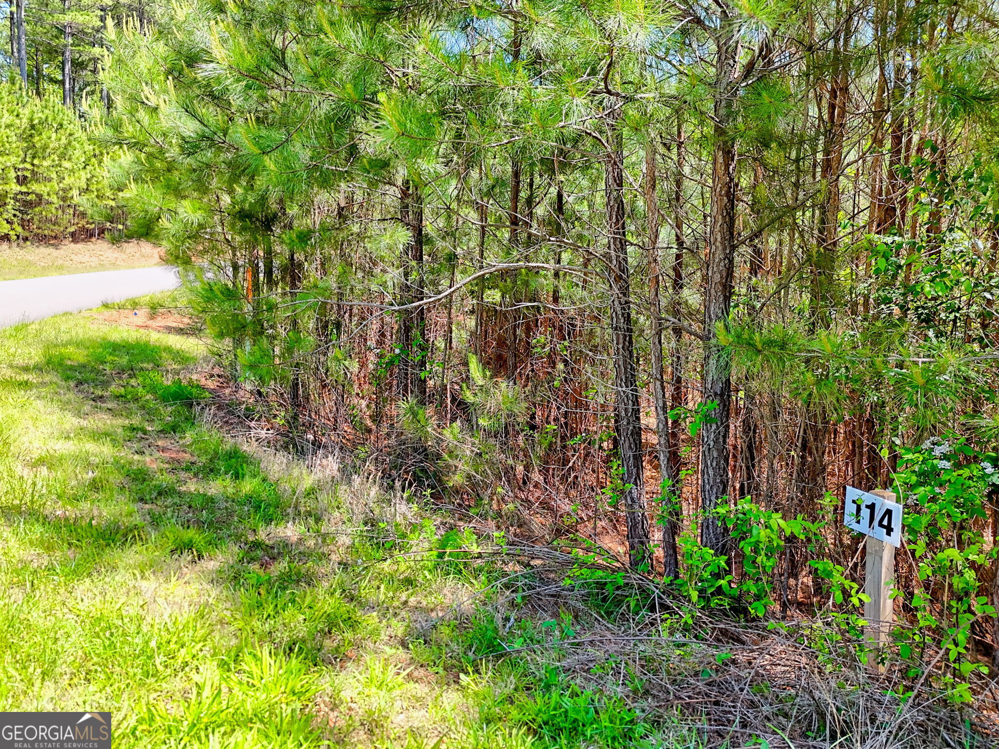LOT 114 Sandy Lake Lane