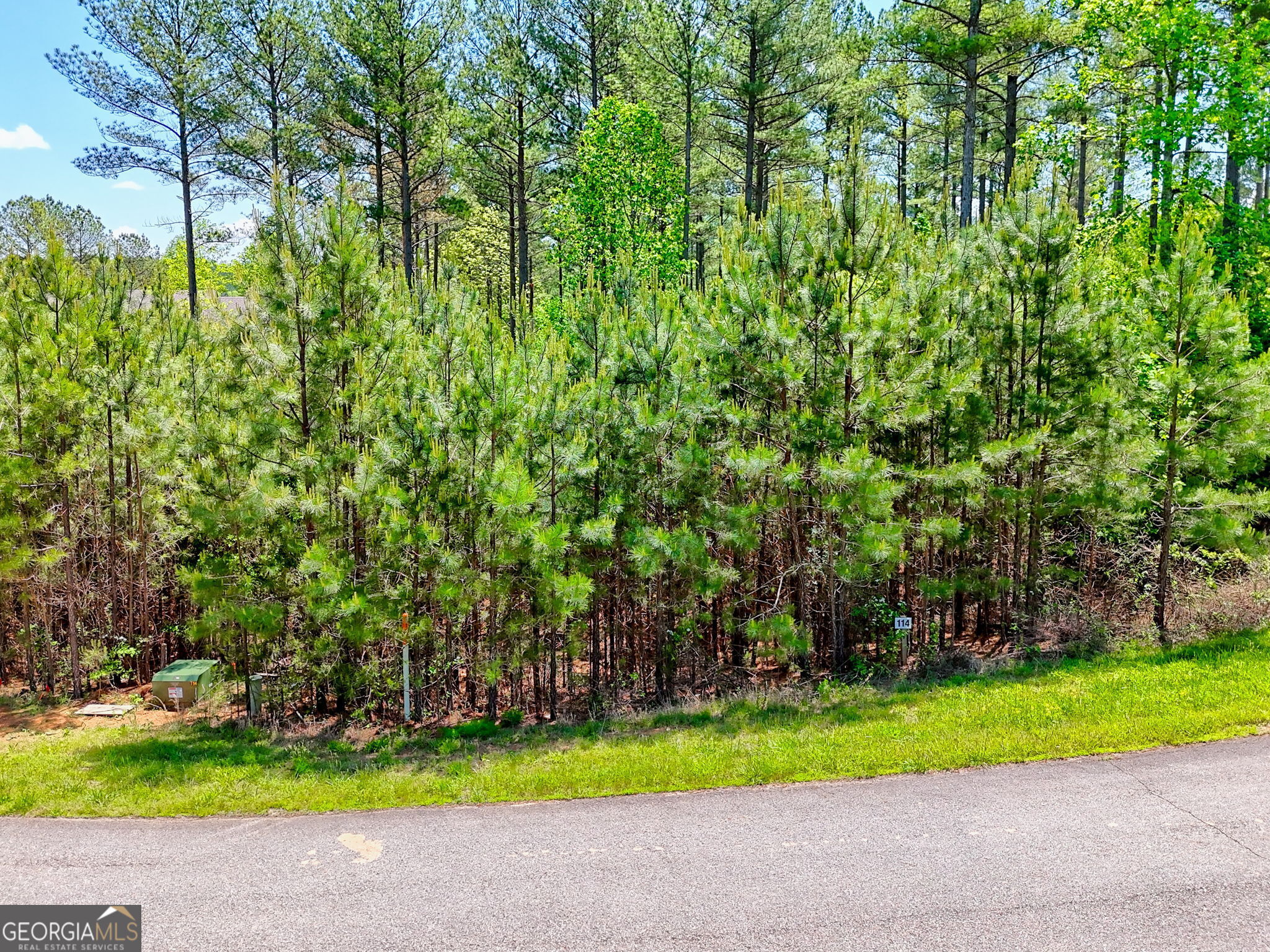 LOT 114 Sandy Lake Lane